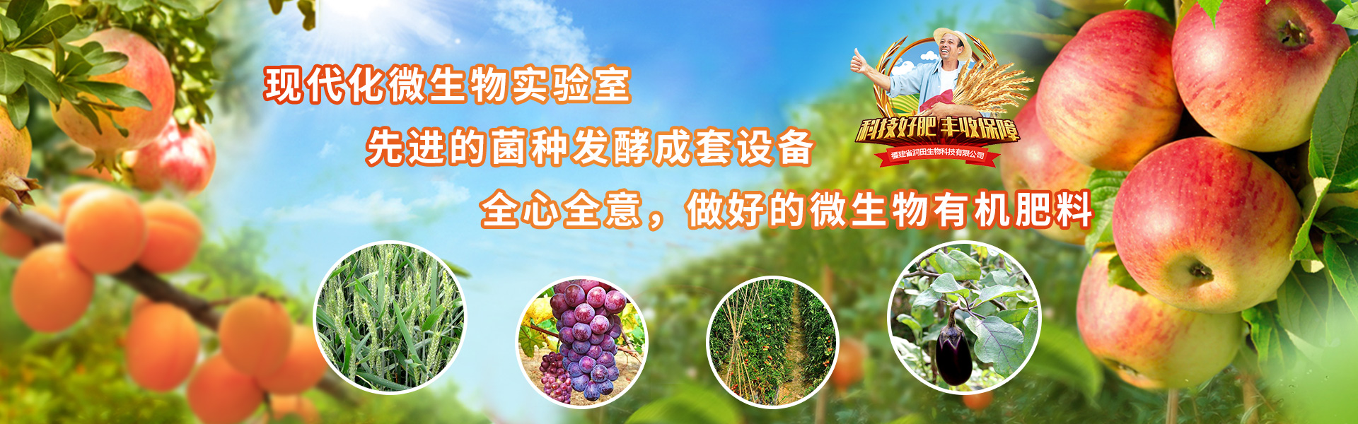 有機(jī)肥菌劑