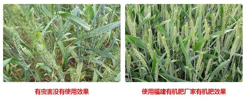 生物有機肥廠家